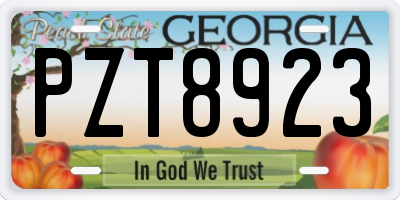 GA license plate PZT8923