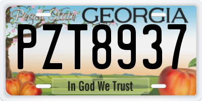 GA license plate PZT8937