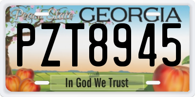 GA license plate PZT8945