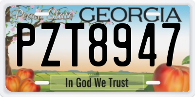 GA license plate PZT8947