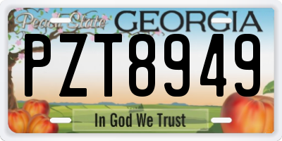 GA license plate PZT8949