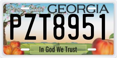 GA license plate PZT8951