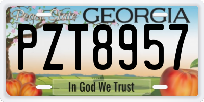 GA license plate PZT8957