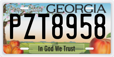 GA license plate PZT8958