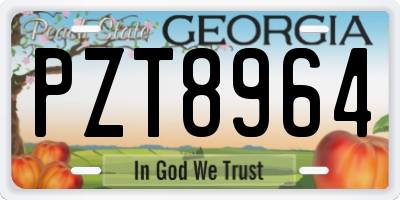 GA license plate PZT8964