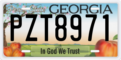 GA license plate PZT8971