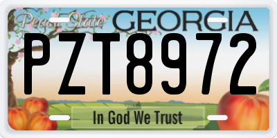 GA license plate PZT8972