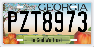 GA license plate PZT8973