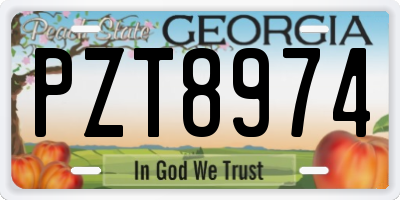 GA license plate PZT8974