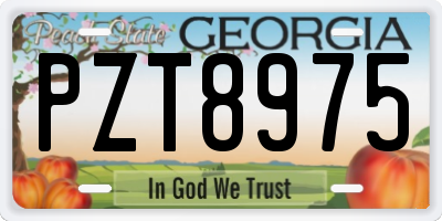 GA license plate PZT8975