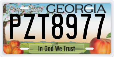 GA license plate PZT8977