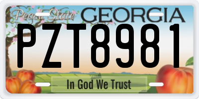 GA license plate PZT8981