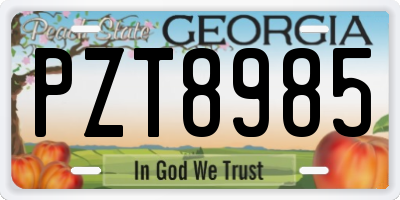 GA license plate PZT8985