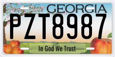 GA license plate PZT8987