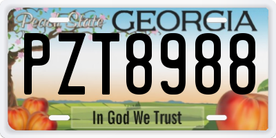 GA license plate PZT8988