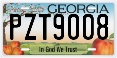 GA license plate PZT9008
