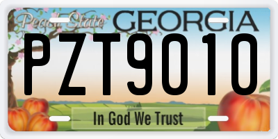GA license plate PZT9010