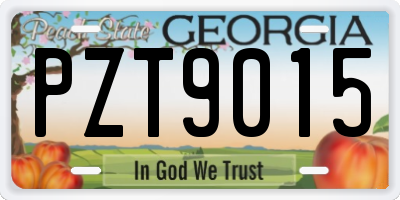 GA license plate PZT9015