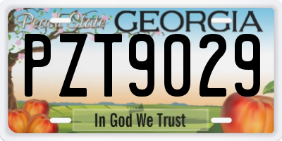 GA license plate PZT9029