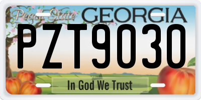 GA license plate PZT9030