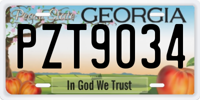 GA license plate PZT9034