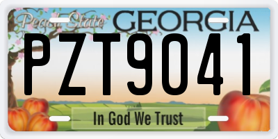GA license plate PZT9041