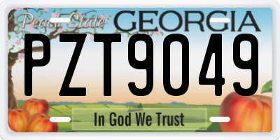 GA license plate PZT9049