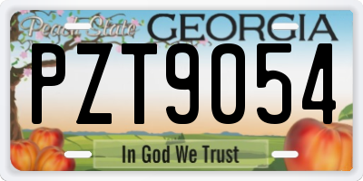 GA license plate PZT9054