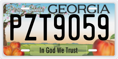 GA license plate PZT9059