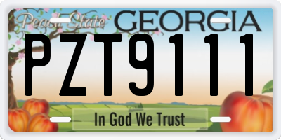 GA license plate PZT9111