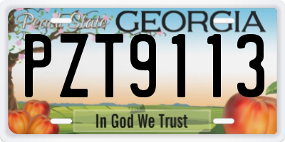 GA license plate PZT9113