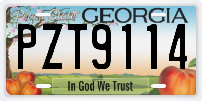 GA license plate PZT9114