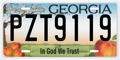 GA license plate PZT9119