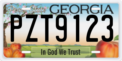 GA license plate PZT9123