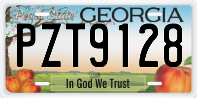 GA license plate PZT9128