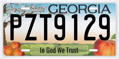 GA license plate PZT9129