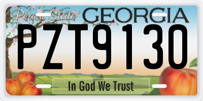 GA license plate PZT9130
