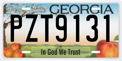 GA license plate PZT9131