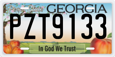 GA license plate PZT9133