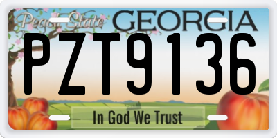 GA license plate PZT9136