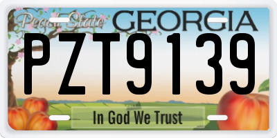 GA license plate PZT9139