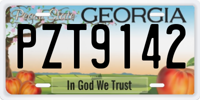 GA license plate PZT9142
