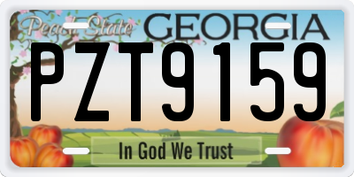 GA license plate PZT9159