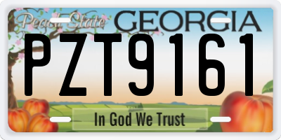GA license plate PZT9161