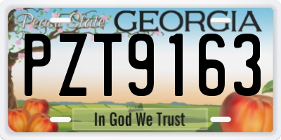 GA license plate PZT9163