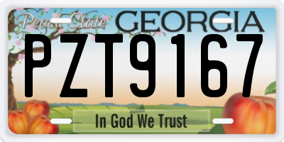 GA license plate PZT9167