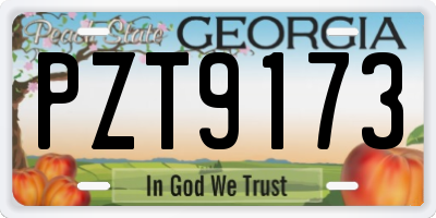 GA license plate PZT9173