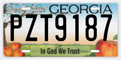 GA license plate PZT9187