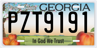 GA license plate PZT9191