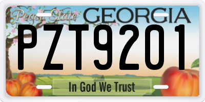 GA license plate PZT9201